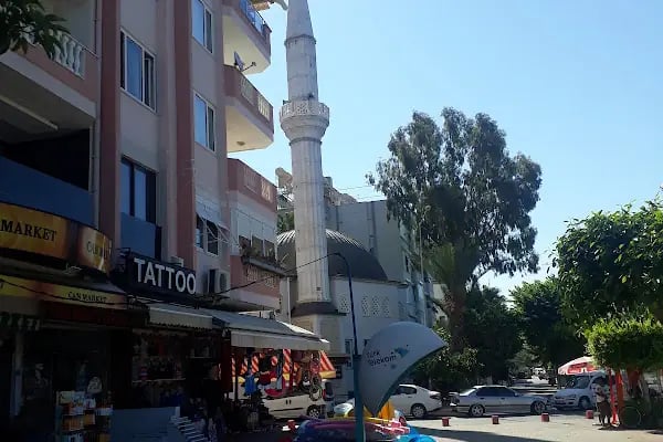 Hasan Şenli Saray Cami - Resim 17