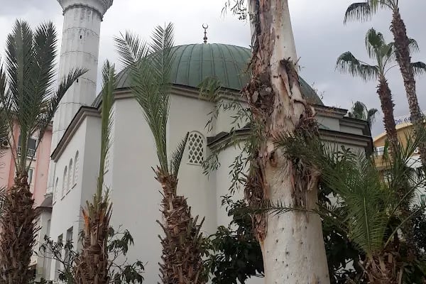 Hasan Şenli Saray Cami - Resim 20