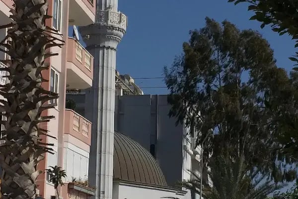 Hasan Şenli Saray Cami - Resim 13