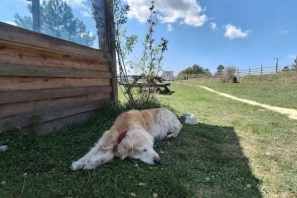 Uludağ Kamping - Dağdibi Köyü/Keles - Resim 14
