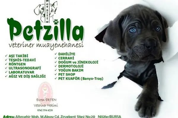 Petzilla Veteriner Muayenehanesi - Resim 18