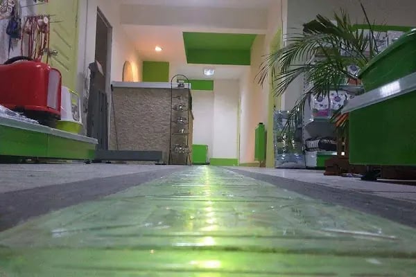 Petzilla Veteriner Muayenehanesi - Resim 2