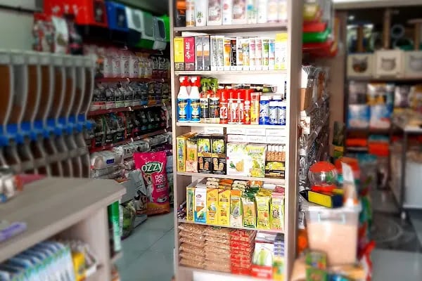My Jumbo Petshop ( ALO MAMA ) - Resim 19