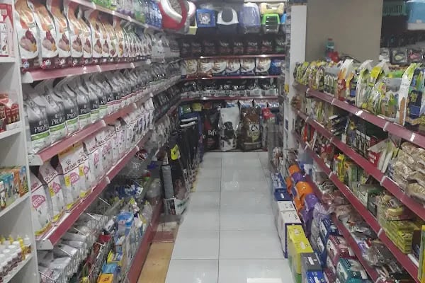 My Jumbo Petshop ( ALO MAMA ) - Resim 13