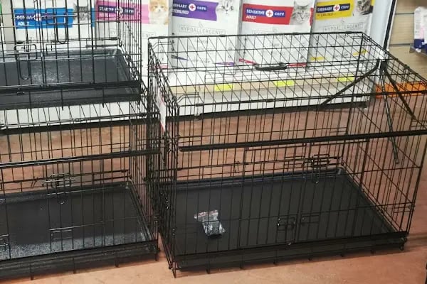 My Jumbo Petshop ( ALO MAMA ) - Resim 8
