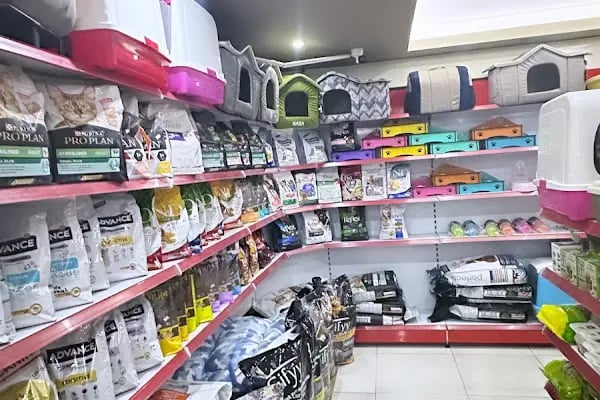 My Jumbo Petshop ( ALO MAMA ) - Resim 2