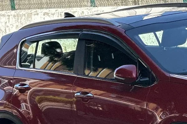 Vip Oto Yıkama | Türkiş - Atakum - Samsun - Resim 18