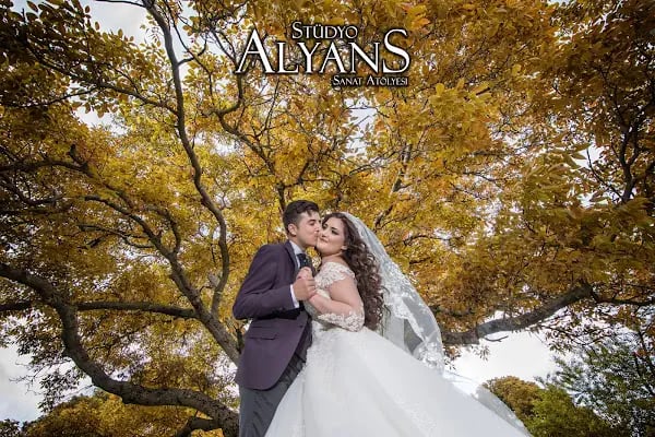 STÜDYO ALYANS - Resim 2