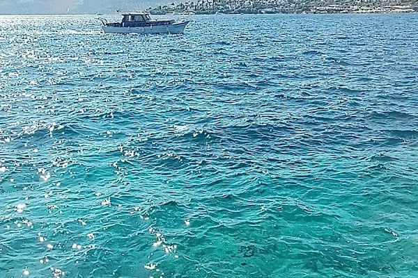 Akvaryum Bodrum - Resim 5