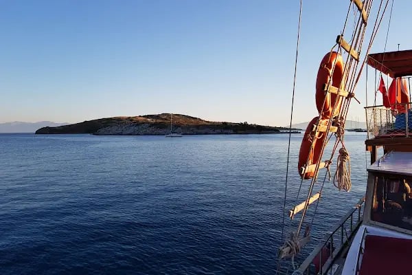 Akvaryum Bodrum - Resim 19