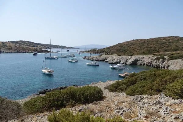 Akvaryum Bodrum - Resim 1
