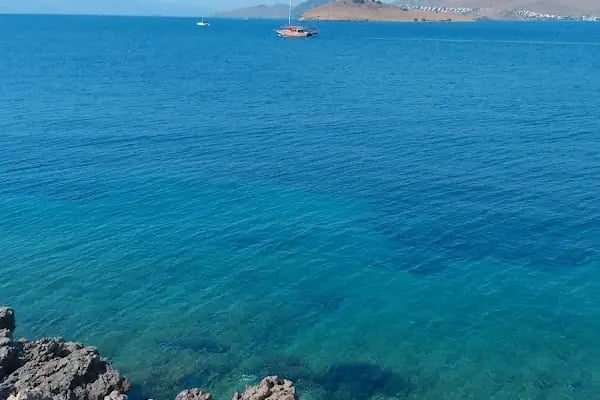 Akvaryum Bodrum - Resim 9