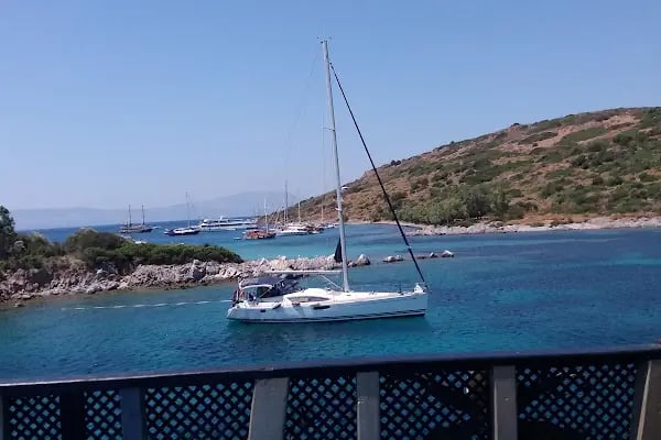 Akvaryum Bodrum - Resim 11