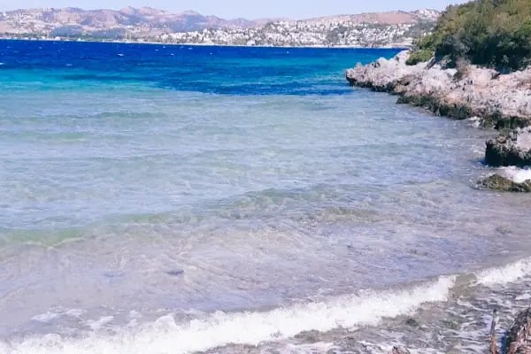 Akvaryum Bodrum - Resim 16