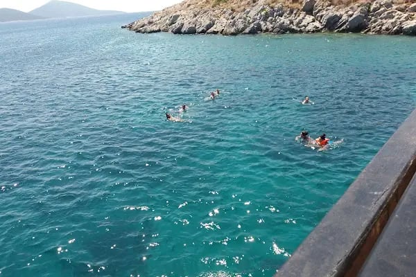 Akvaryum Bodrum - Resim 12