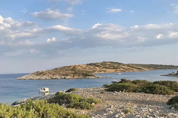 Akvaryum Bodrum - Resim 7