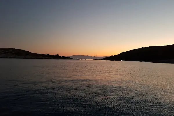 Akvaryum Bodrum - Resim 6