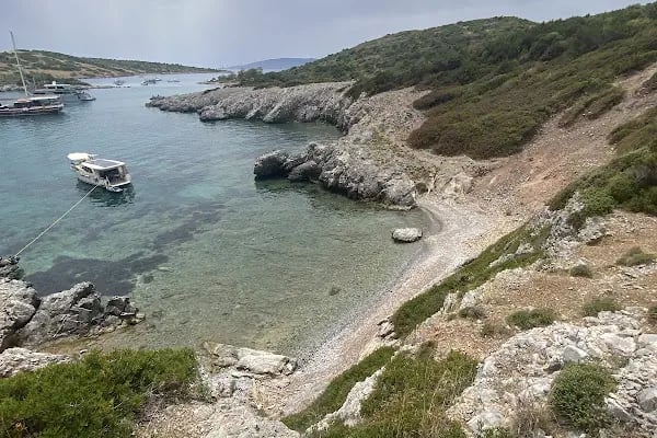 Akvaryum Bodrum - Resim 17