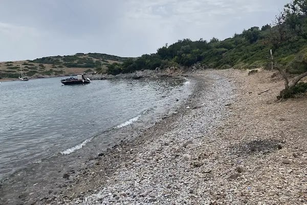 Akvaryum Bodrum - Resim 20