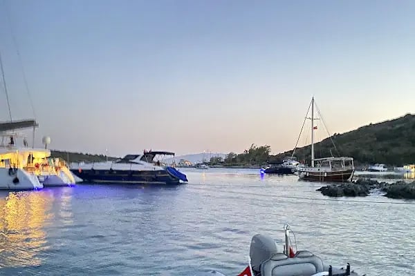 Akvaryum Bodrum - Resim 14
