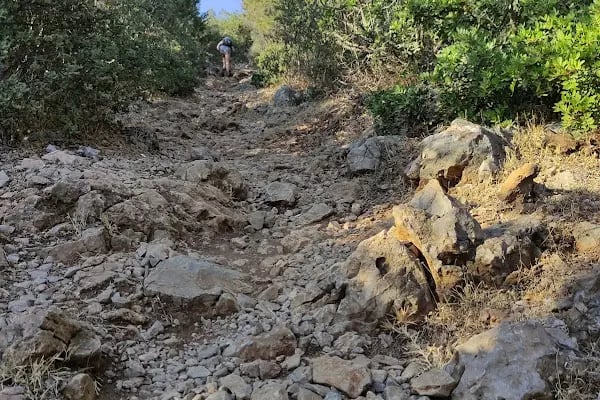 Akvaryum Bodrum - Resim 10