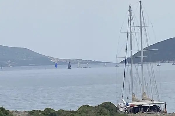 Akvaryum Bodrum - Resim 18