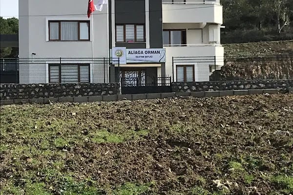 ALİAĞA ORMAN İŞLETME ŞEFLİĞİ - Resim 2