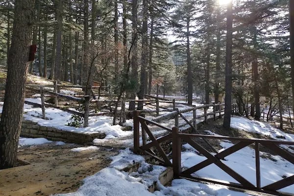 Kızıldağ Milli Parkı - Resim 20
