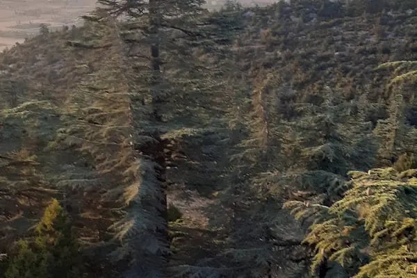 Kızıldağ Milli Parkı - Resim 15