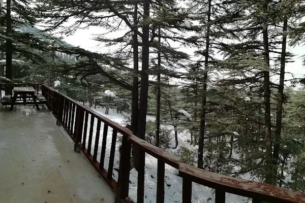 Kızıldağ Milli Parkı - Resim 19
