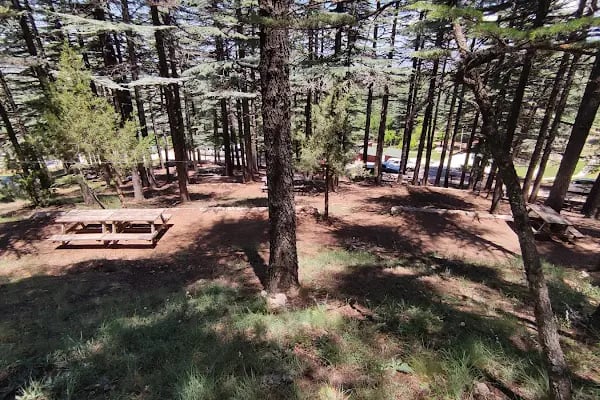 Kızıldağ Milli Parkı - Resim 5