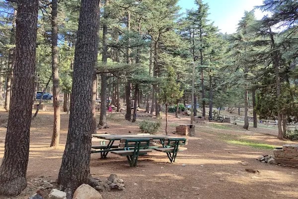 Kızıldağ Milli Parkı - Resim 8