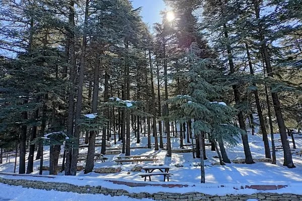 Kızıldağ Milli Parkı - Resim 14