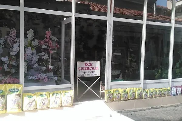 Ece çiçekçilik - Resim 3