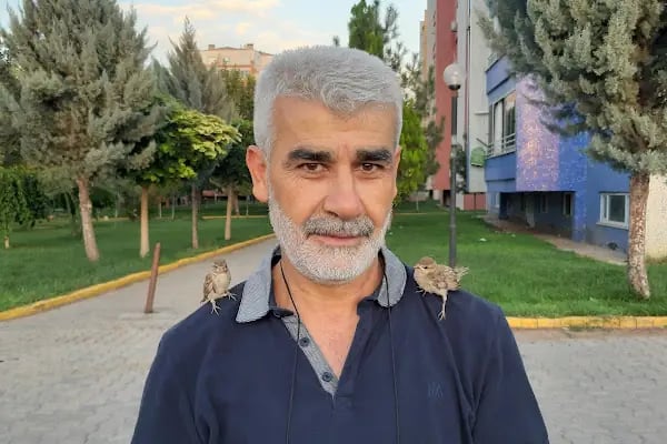 Başakşehir Konutları - Resim 14