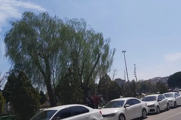 Çerkezköy Oto Kiralama - Rent A Car / OtoCar Rent A Car - Resim 3