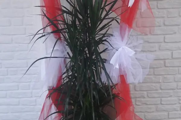 Kale Vip Wedding - Resim 18
