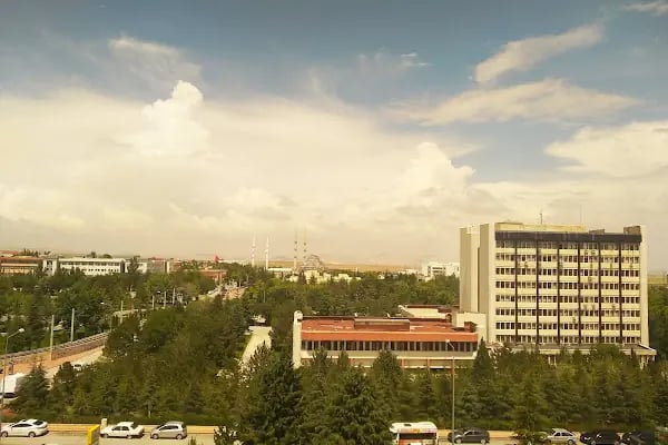 Selçuk Üniversitesi - Resim 10