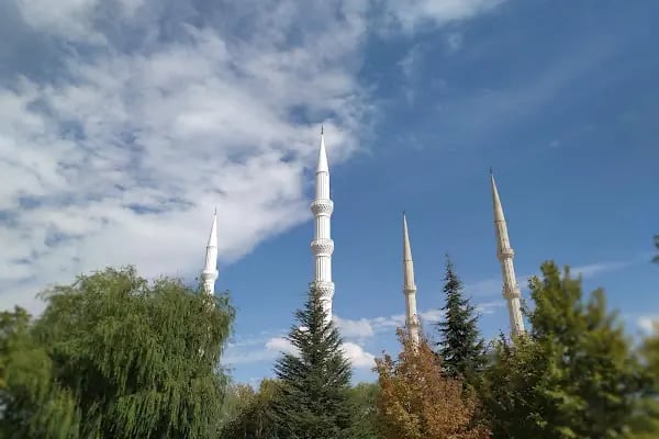 Selçuk Üniversitesi - Resim 3