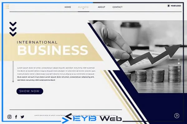 EYB Web - Resim 11
