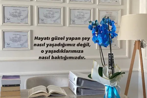 Arnavutköy Psikolog Elif Nur Kıran - Resim 10