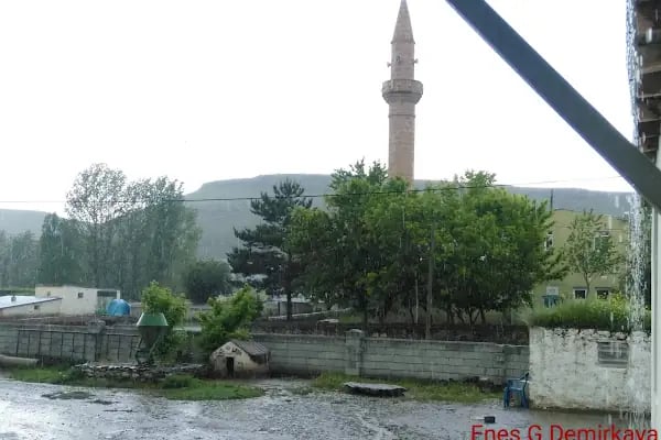 Camuşlu - Resim 13