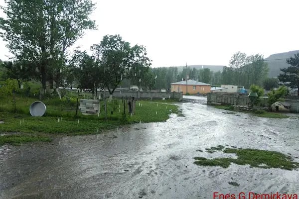 Camuşlu - Resim 17