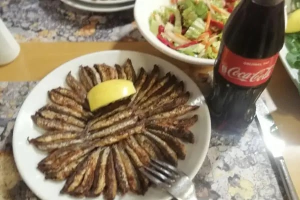Ye Balık - Resim 15