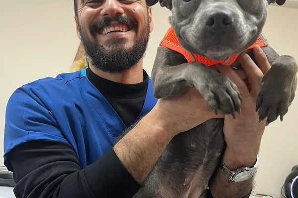 Petstory Veteriner Kliniği 7/24 Küçükçekmece - Resim 17