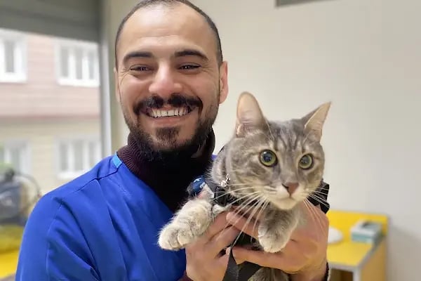 Petstory Veteriner Kliniği 7/24 Küçükçekmece - Resim 18