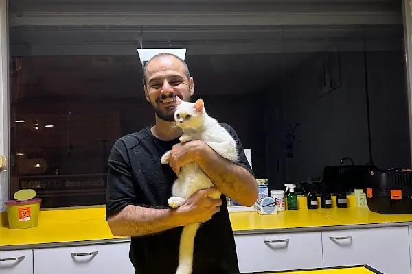 Petstory Veteriner Kliniği 7/24 Küçükçekmece - Resim 2