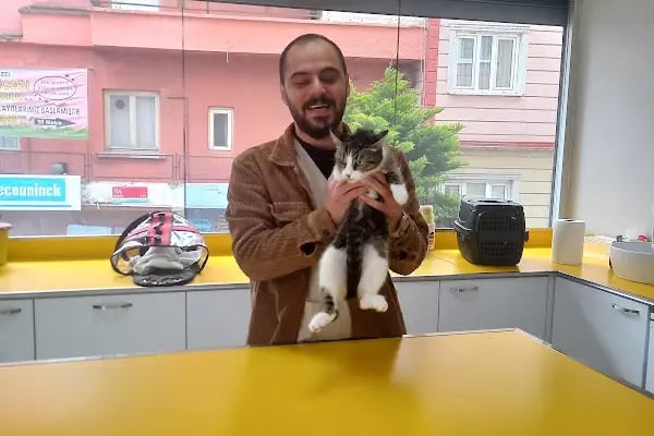 Petstory Veteriner Kliniği 7/24 Küçükçekmece - Resim 13