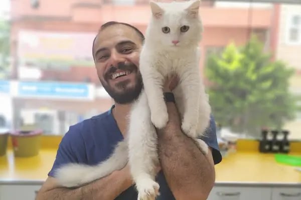 Petstory Veteriner Kliniği 7/24 Küçükçekmece - Resim 15