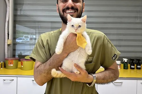 Petstory Veteriner Kliniği 7/24 Küçükçekmece - Resim 19